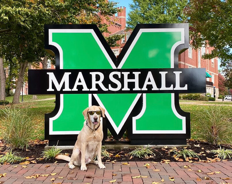 Q&A with Charleston Max, Pup Influencer